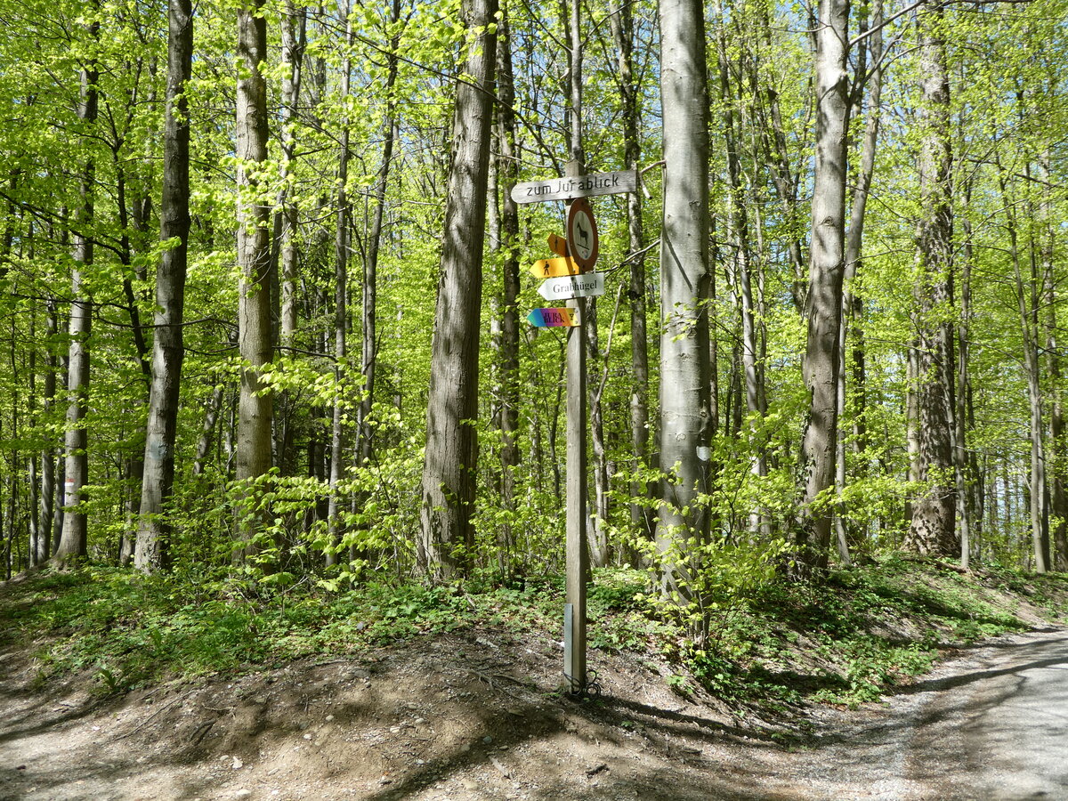 (235'007) - Wegweiser im Uetlibergwald am 2. Mai 2022 am Uetliberg