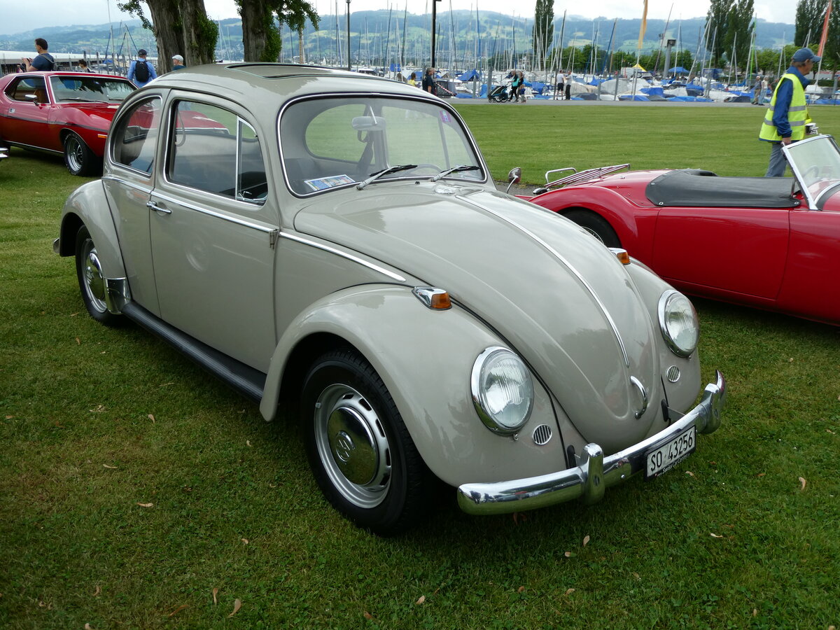(235'917) - VW-Kfer - SO 43'256 - am 21. Mai 2022 in Arbon, Arbon Classics