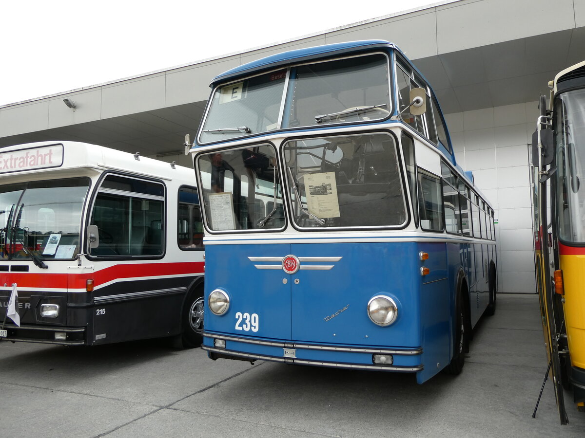 (239'579) - VBZ Zrich (FBW-Club) - Nr. 239 - FBW/Tscher Hochlenker (ex Kamm, Schlieren; ex VBZ Zrcih Nr. 239; ex VBZ Zrich Nr. 219) am 27. August 2022 in Oberkirch, CAMPUS Sursee