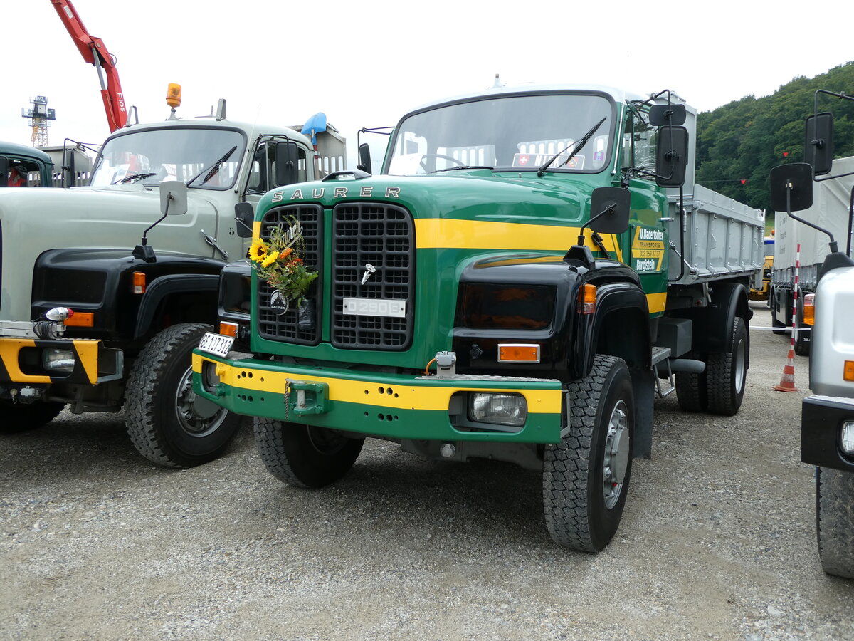 (239'664) - Badertscher, Burgistein - BE 117'312 - Saurer am 27. August 2022 in Oberkirch, CAMPUS Sursee