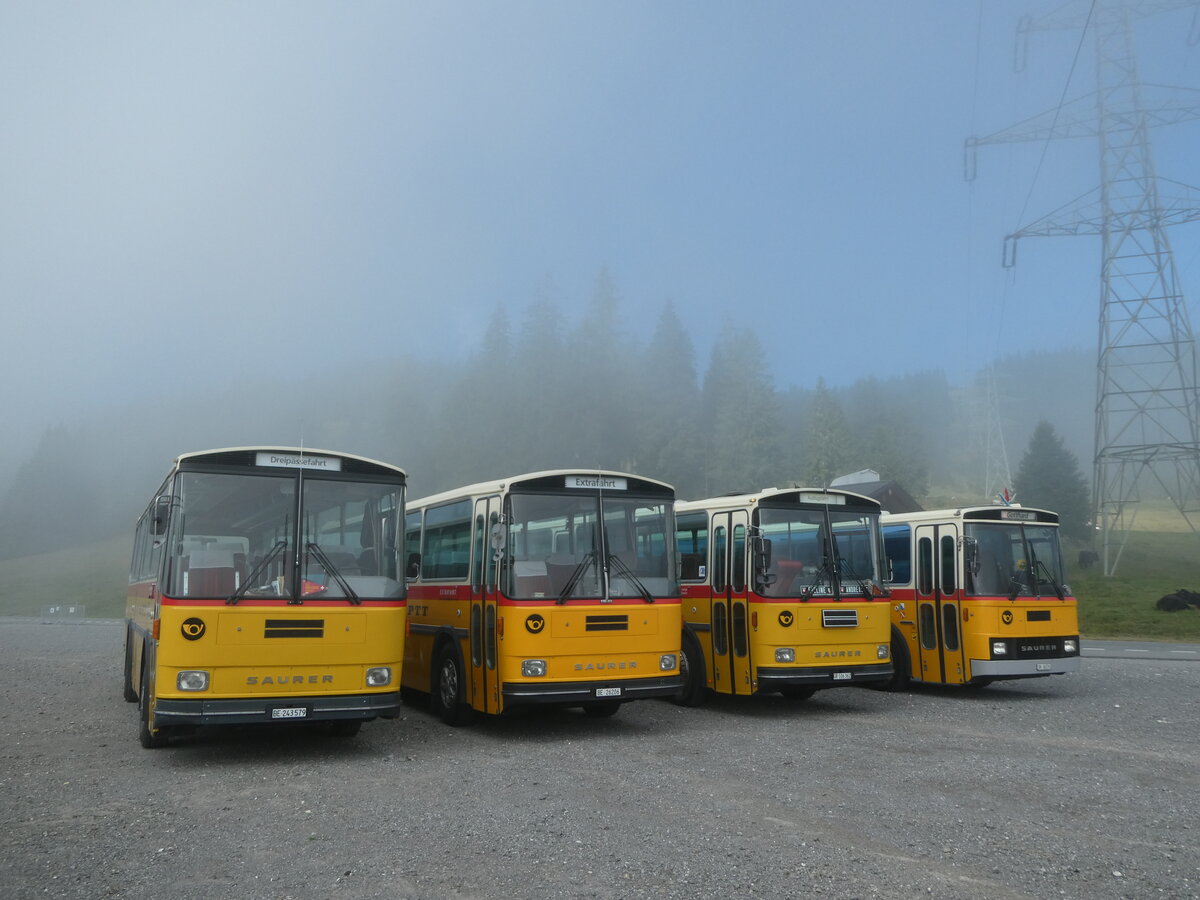 (239'772) - Krummenacher, Zillis - Nr. 74/BE 243'579 - Saurer/R&J (ex AVG Meiringen Nr. 74; ex PostAuto Berner Oberland; ex P 24'357) am 28. August 2022 in Stalden, Langis