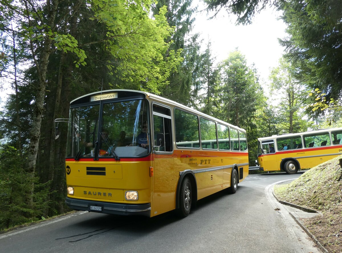 (239'842) - Krummenacher, Zillis - Nr. 74/BE 243'579 - Saurer/R&J (ex AVG Meiringen Nr. 74; ex PostAuto Berner Oberland; ex P 24'357) am 28. August 2022 in Giswil, Emmenwald