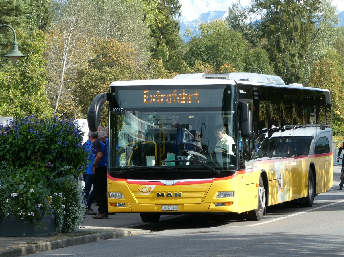 (240'126) - Steiner, Messen - SO 20'141 - MAN am 18. September 2022 bei der Schifflndte Thun