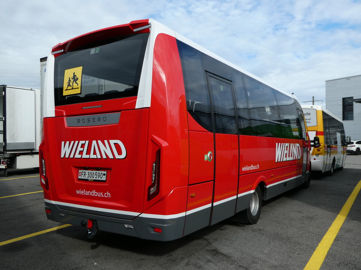 (241'383) - Wieland, Murten - Nr. 126/FR 300'590 - Iveco/Rosero am 15. Oktober 2022 in Kerzers, Interbus