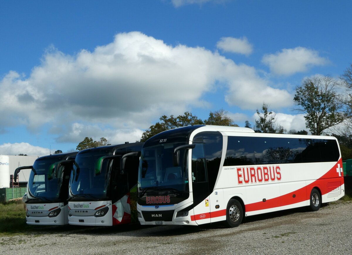 (241'775) - ARAG Ruswil - Nr. 33/LU 288'542 - MAN am 22. Oktober 2022 in Ruswil, Garage