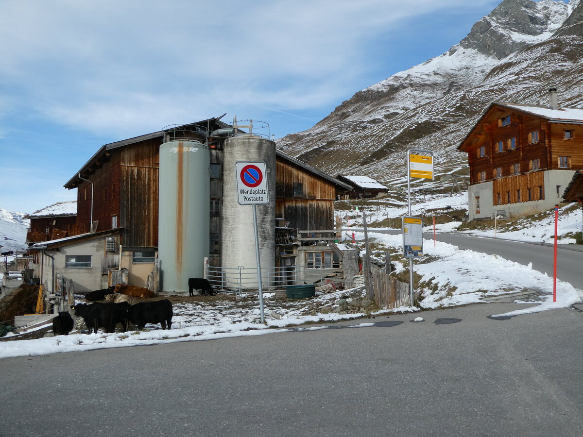 (242'268) - PostAuto-Haltestelle am 8. November 2022 in Avers, Juf