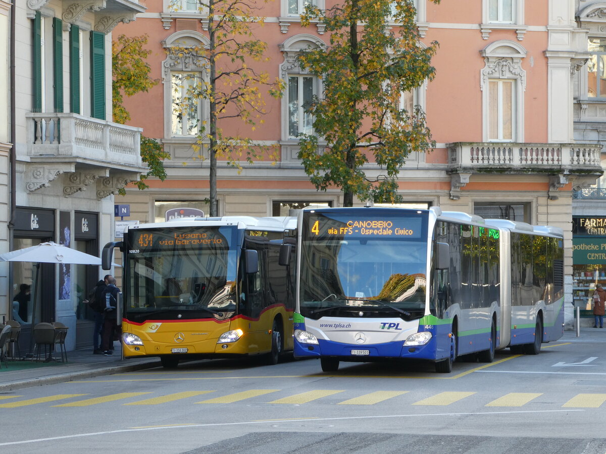 (242'867) - TPL Lugano - Nr. 446/TI 339'501 - Mercedes am 17. November 2022 in Lugano, Centro