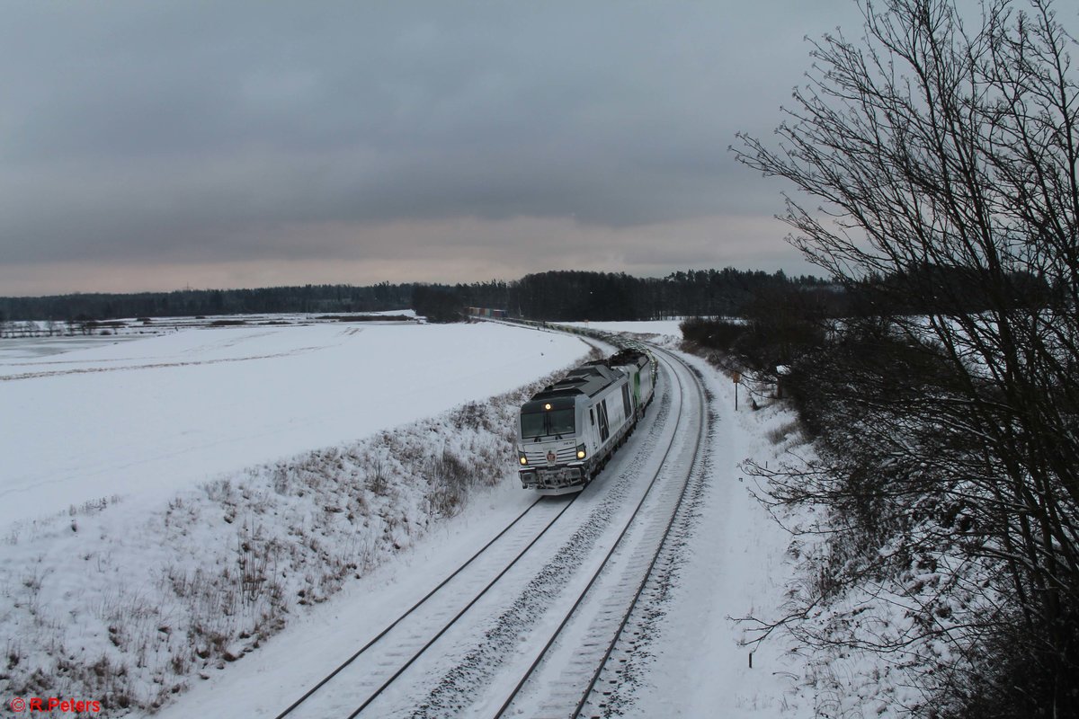 248 001 und 193 240  Adler  mit dem Containerzug nach Hamburg bei Oberteich. 09.01.21