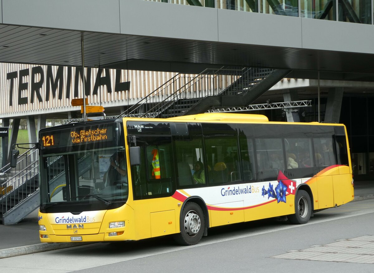 (249'202) - Grindelwaldbus, Grindelwald - Nr. 14/BE 202'568 - MAN/Gppel am 28. April 2023 in Grindelwald, Terminal