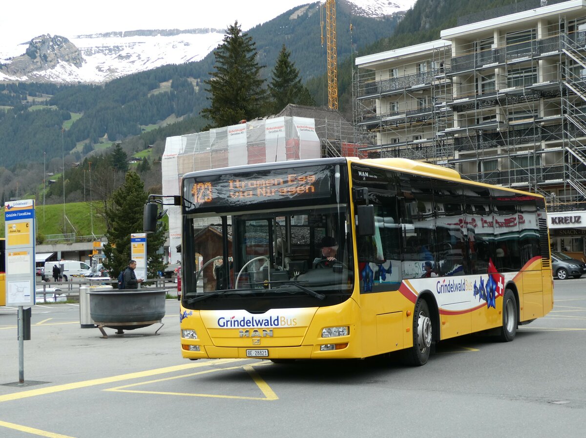 (249'217) - Grindelwaldbus, Grindelwald - Nr. 16/BE 28'821 - MAN am 28. April 2023 beim Bahnhof Grindelwald