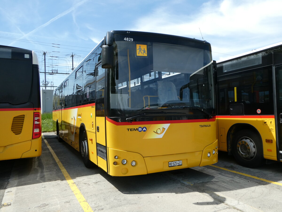 (249'633) - CarPostal Ouest - VD 525'421/PID 4829 - Temsa am 5. Mai 2023 in Yverdon, Garage