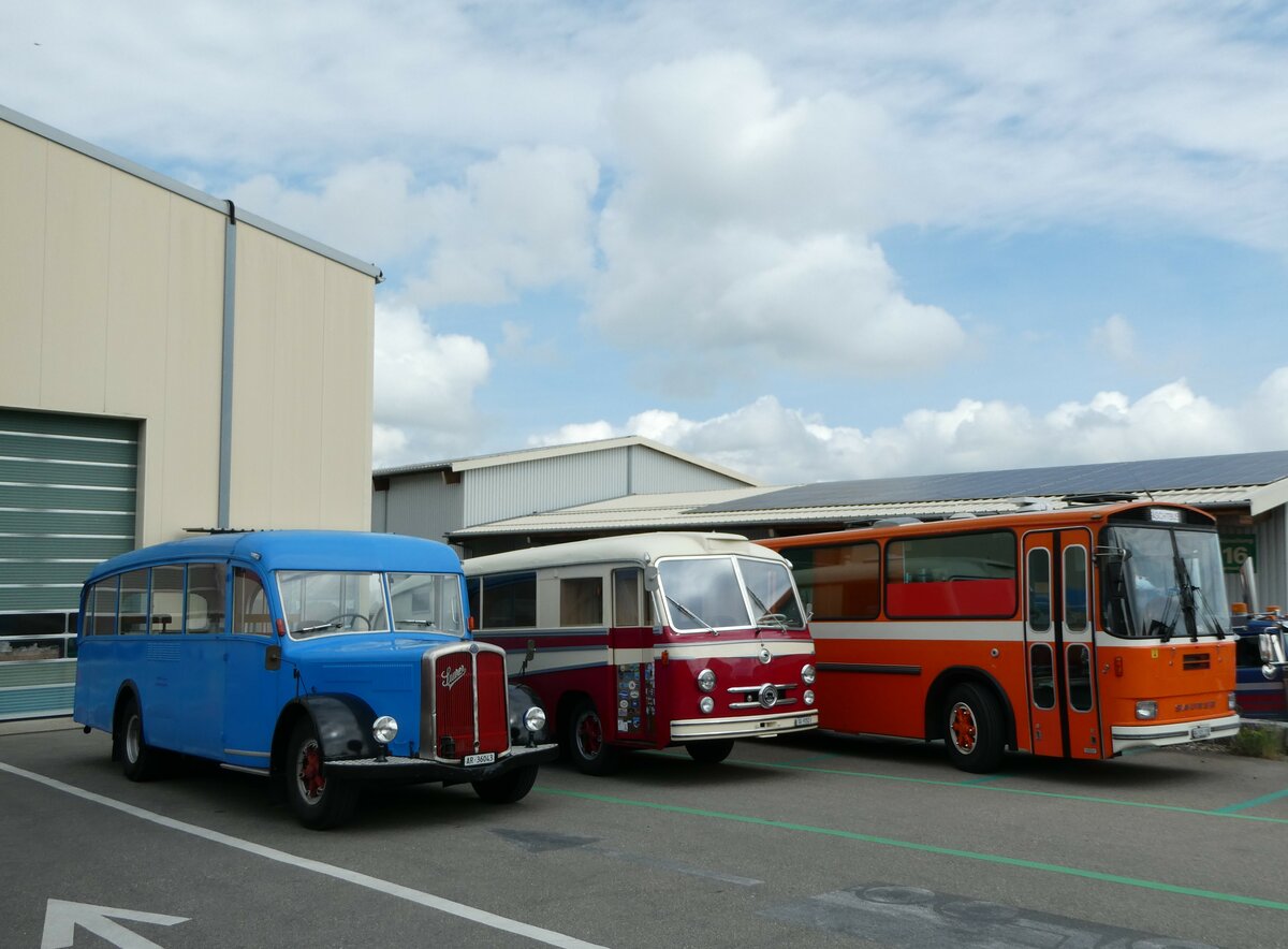 (249'742) - Wehrle, Trogen - AR 36'043 - Saurer/Saurer (ex Sulzer, Winterthur) am 6. Mai 2023 in Attikon, Wegmller