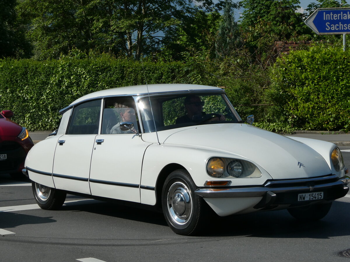 (250'556) - Citron - NW 15'415 - am 27. Mai 2023 in Sarnen, OiO