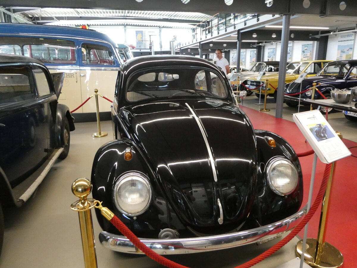 (250'931) - VW-Kfer am 4. Juni 2023 in Pilsting, Auwrter Automobil-Park