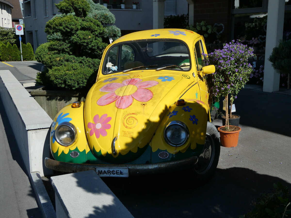 (253'306) - VW-Kfer am 3. August 2023 in Hochdorf