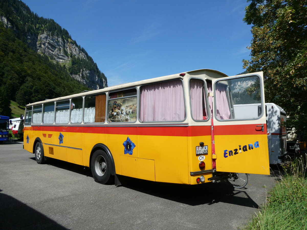 (254'019) - Ghwiler, Birmensdorf - ZH 311'480 - Saurer/Tscher (ex AVG Grindelwald Nr. 12; ex Steiger, Schlatt) am 19. August 2023 in Hoch-Ybrig, Talstation Weglosen