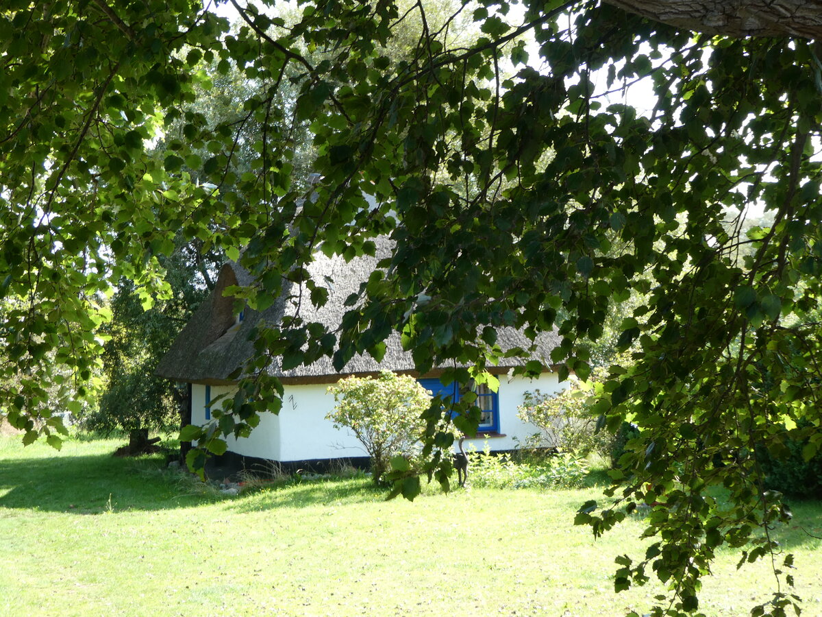 (254'639) - Fischerhtte  Hexenhaus  von 1755 am 2. September 2023 in Vitte (ltestes Haus auf der Insel Hiddensee)