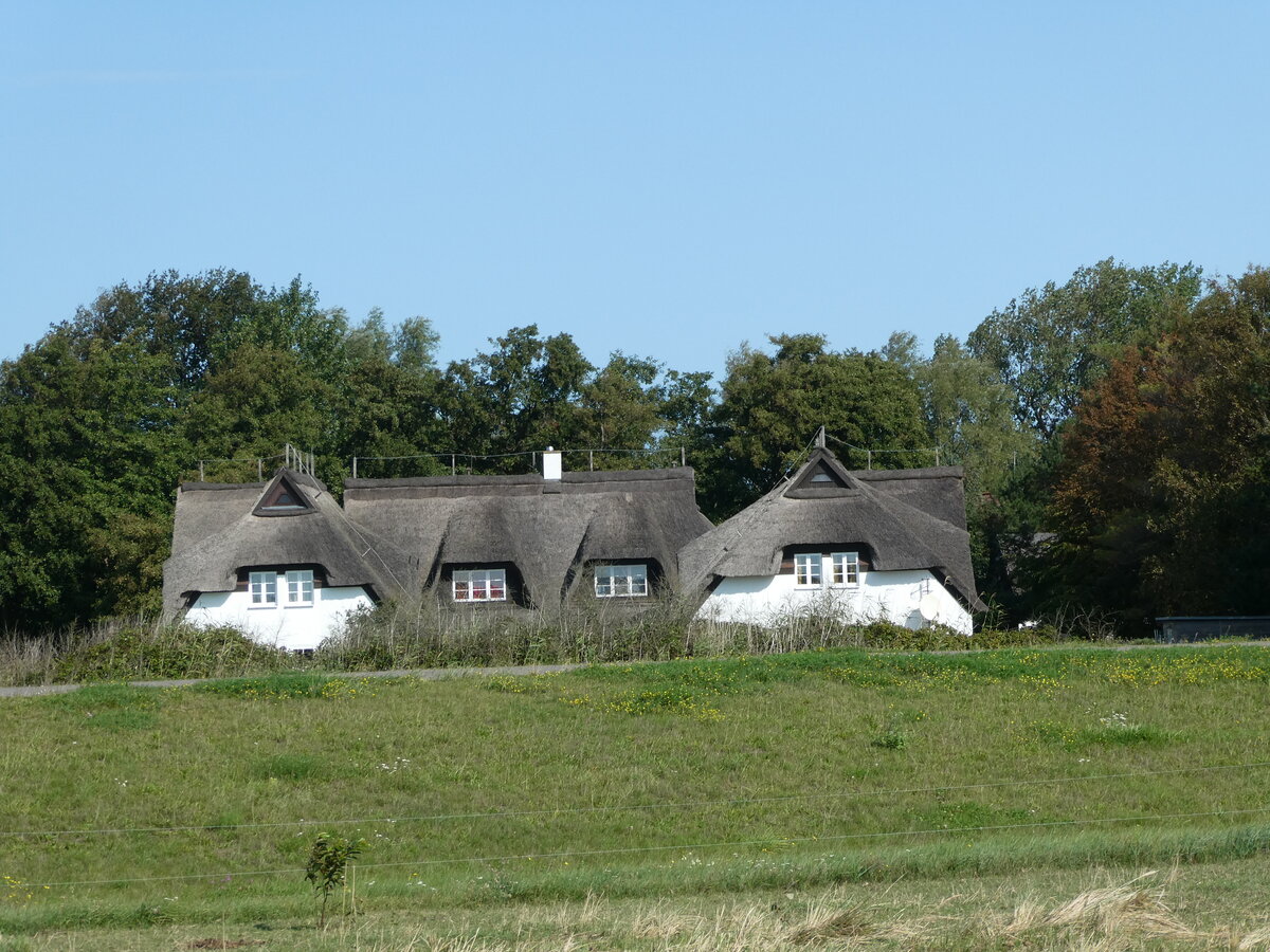 (254'640) - Schilfdachhuser am 2. September 2023 in Vitte