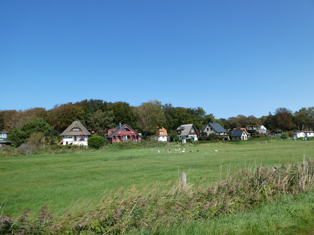 (254'649) - Huser und Schafe am 2. September 2023 in Kloster
