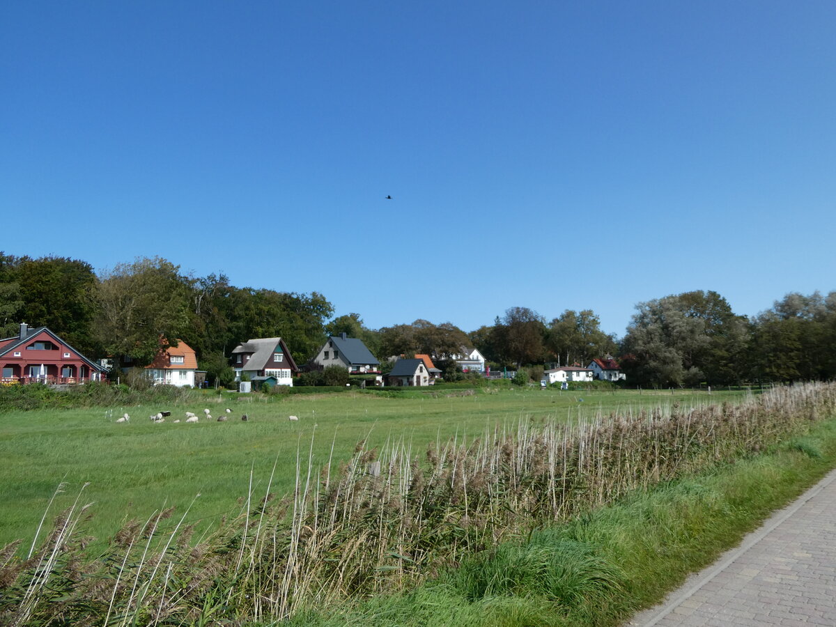 (254'650) - Huser und Schafe am 2. September 2023 in Kloster