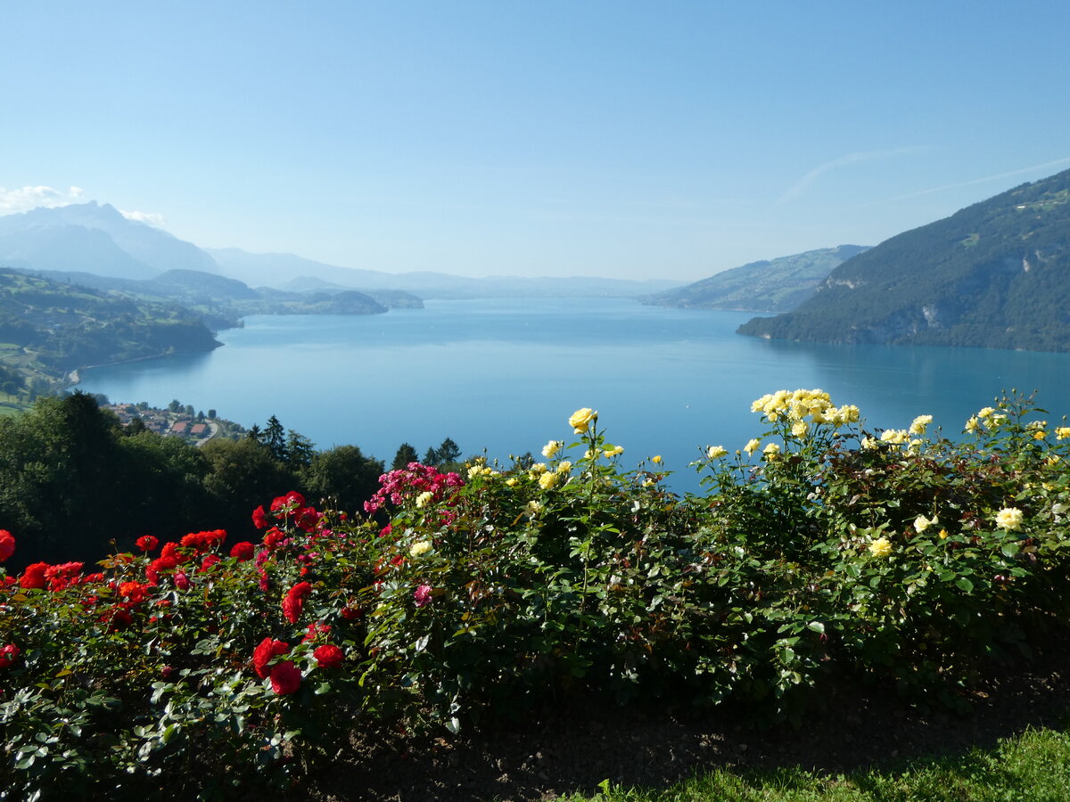 (254'820) - Der Thunersee am 5. September 2023 von der Meielisalp aus