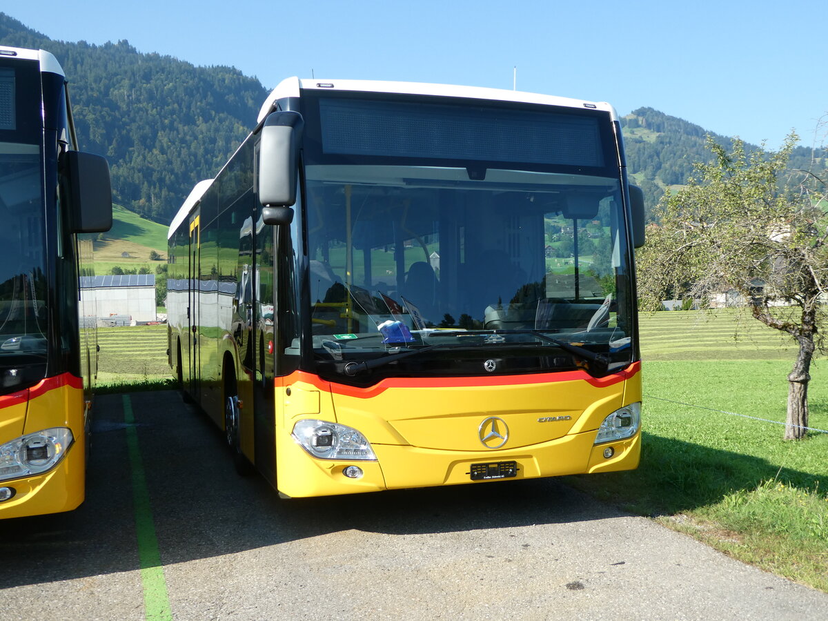 (254'951) - Steiner, Messen - PID 12'036 - Mercedes am 9. September 2023 in Nesslau, Altherr