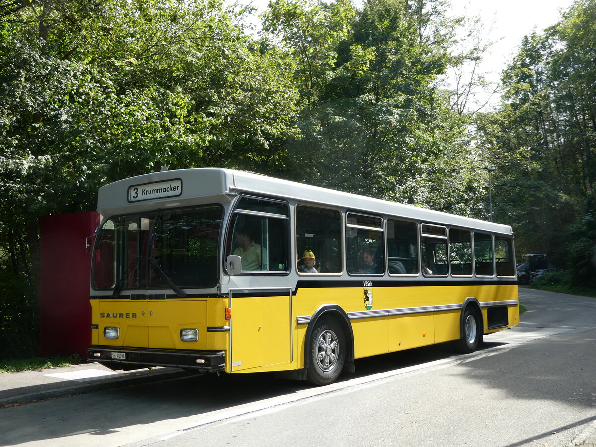 (255'303) - Wanner, Schleitheim - SH 48'096 - Saurer/Hess (ex Ruklic, Schaffhausen; ex VBSH Schaffhausen Nr. 40; ex VBSH Schaffhausen Nr. 19) am 17. September 2023 in Schaffhausen, Sommerwies