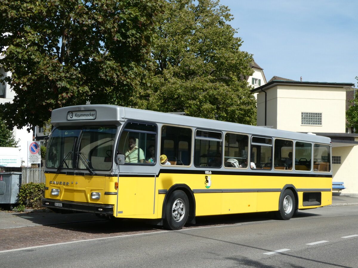 (255'309) - Wanner, Schleitheim - SH 48'096 - Saurer/Hess (ex Ruklic, Schaffhausen; ex VBSH Schaffhausen Nr. 40; ex VBSH Schaffhausen Nr. 19) am 17. September 2023 in Schaffhausen, Neubrunn