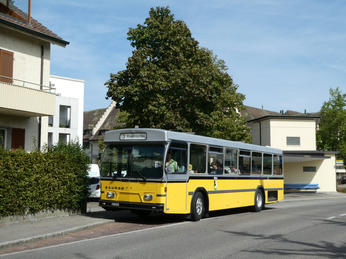 (255'312) - Wanner, Schleitheim - SH 48'096 - Saurer/Hess (ex Ruklic, Schaffhausen; ex VBSH Schaffhausen Nr. 40; ex VBSH Schaffhausen Nr. 19) am 17. September 2023 in Schaffhausen, Neubrunn