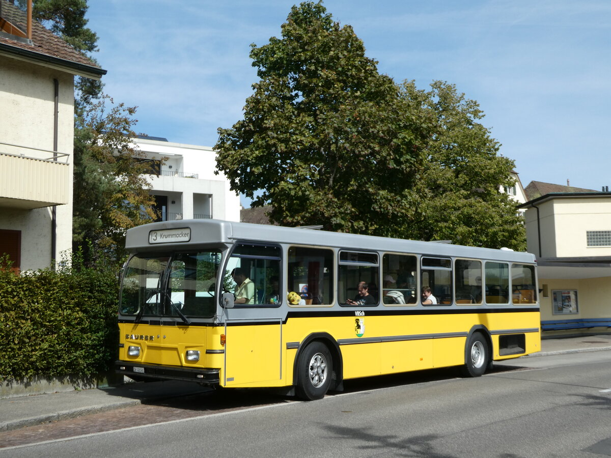 (255'313) - Wanner, Schleitheim - SH 48'096 - Saurer/Hess (ex Ruklic, Schaffhausen; ex VBSH Schaffhausen Nr. 40; ex VBSH Schaffhausen Nr. 19) am 17. September 2023 in Schaffhausen, Neubrunn