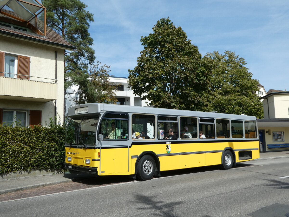 (255'314) - Wanner, Schleitheim - SH 48'096 - Saurer/Hess (ex Ruklic, Schaffhausen; ex VBSH Schaffhausen Nr. 40; ex VBSH Schaffhausen Nr. 19) am 17. September 2023 in Schaffhausen, Neubrunn