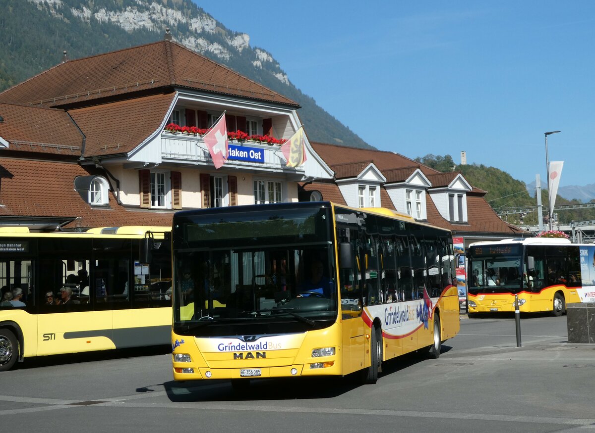 (255'835) - Grindelwaldbus, Grindelwald - Nr. 12/BE 356'085 - MAN am 2. Oktober 2023 beim Bahnhof Interlaken Ost