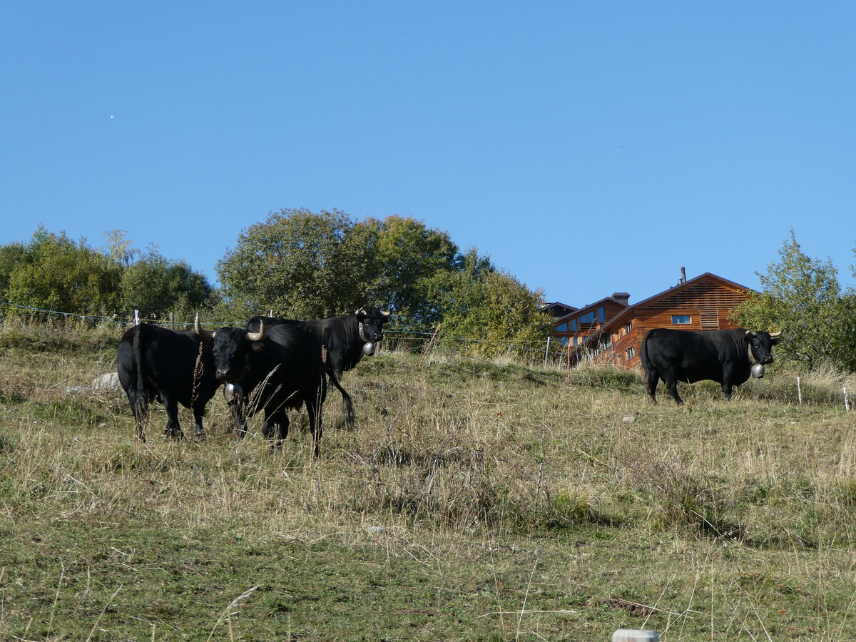 (256'014) - Eringer Khe am 8. Oktober 2023 bei Vercorin