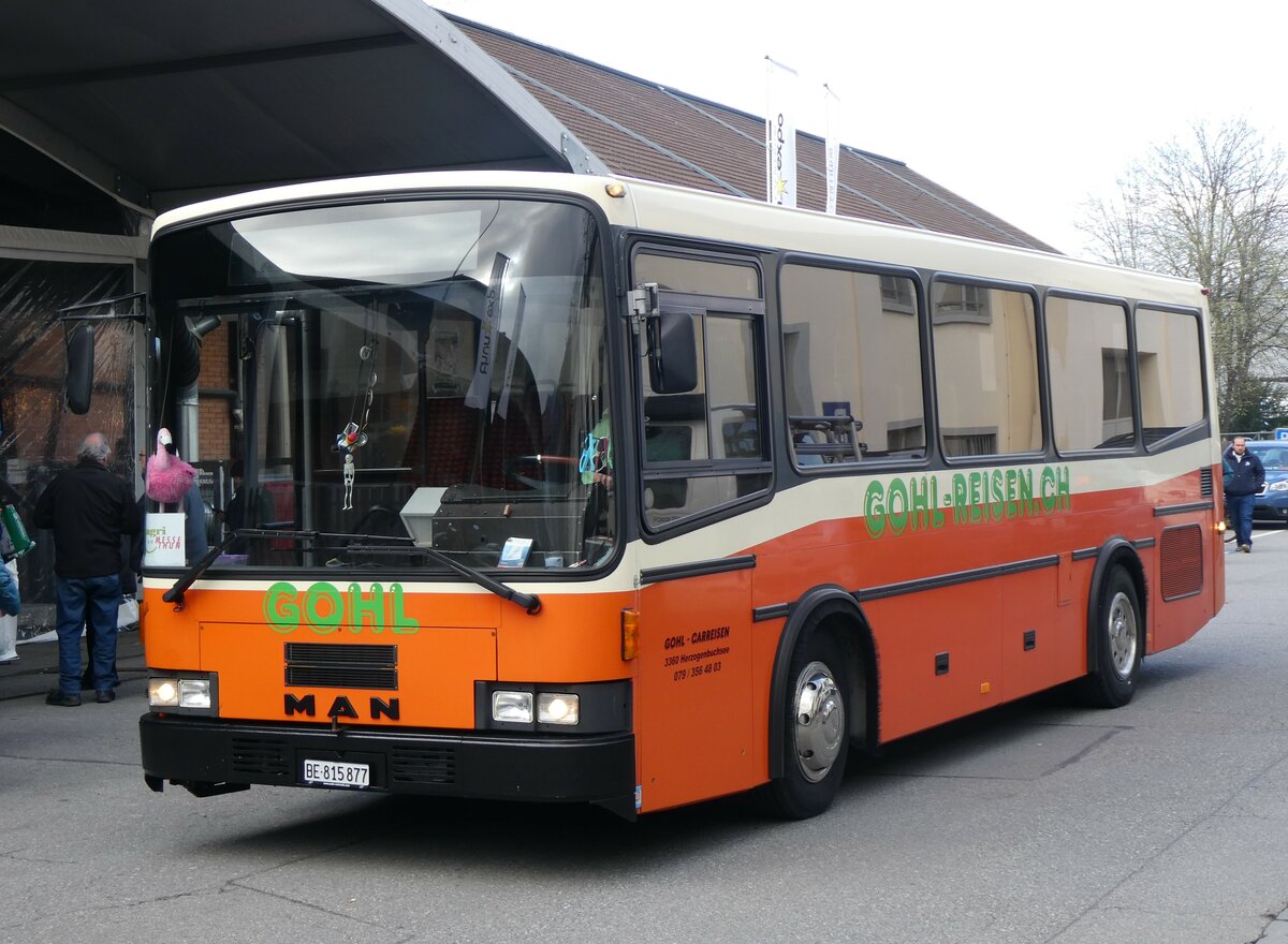 (259'782) - Gohl, Herzogenbuchsee - BE 815'877 - MAN/Lauber (ex AMSA Chiasso Nr. 19; ex Tresch, Amsteg PID 2290) am 29. Februar 2024 in Thun, Expo