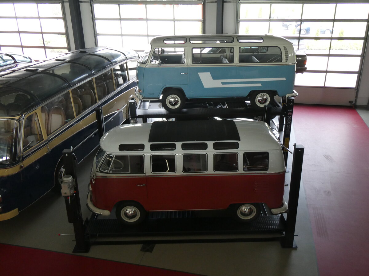 (261'400) - VW-Busse - LAN-KA 71H + DGF-X 67H - am 14. April 2024 in Pilsting, Auwrter Automobil-Park