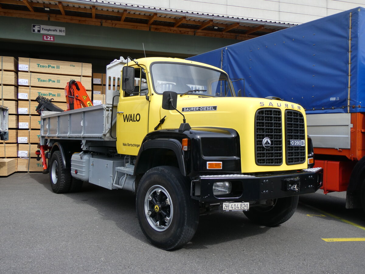(261'904) - Walo Bertschinger - ZH 414'821 - Saurer am 4. Mai 2024 in Attikon, Wegmller 