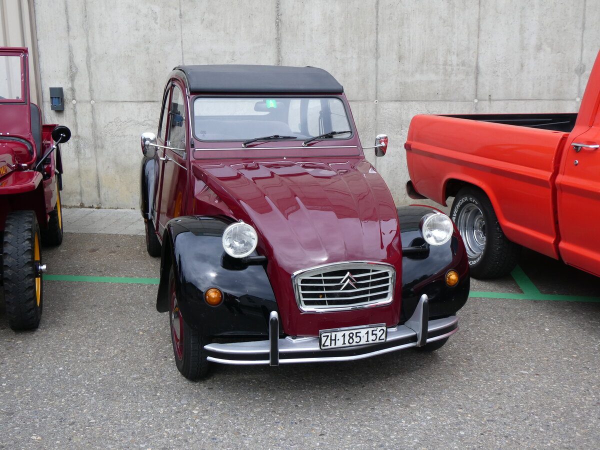 (261'979) - Citron - ZH 185'152 - am 4. Mai 2024 in Attikon, Wegmller