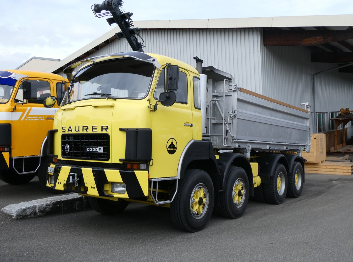 (262'032) - Saurer - SG 142'564 - am 4. Mai 2024 in Attikon, Wegmller