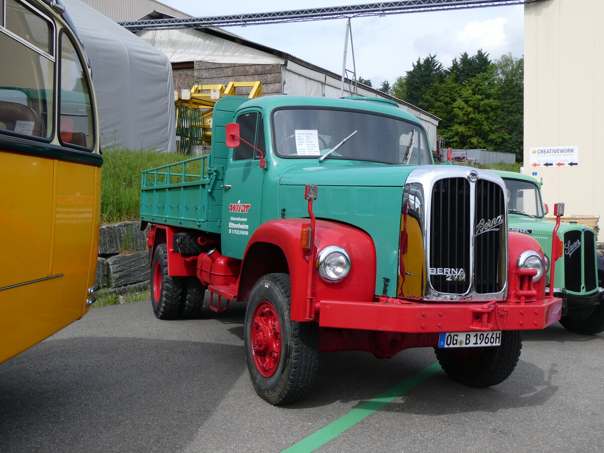 (262'036) - Wildt, Ettenheim - OG-B 1966H - Berna am 4. Mai 2024 in Attikon, Wegmller