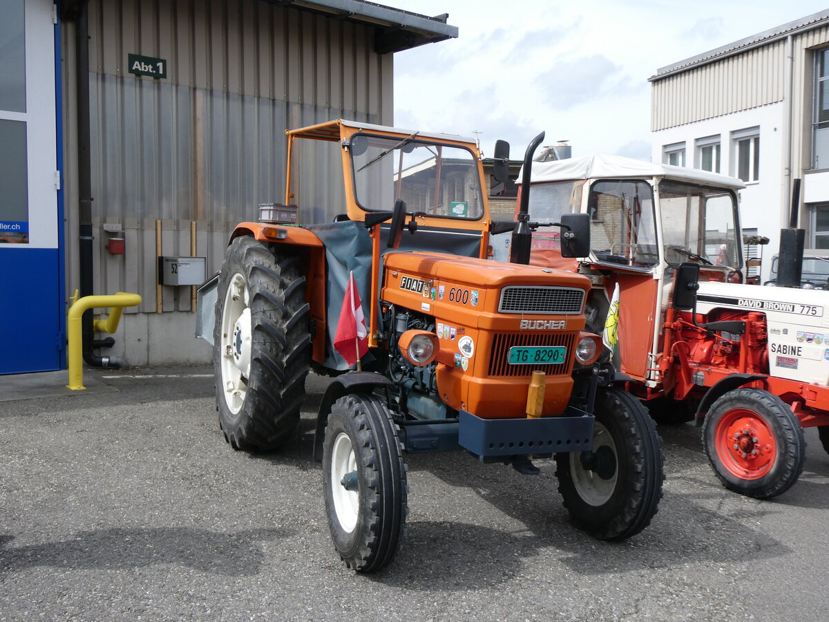 (262'045) - Fiat - TG 8290 - am 4. Mai 2024 in Attikon, Wegmller