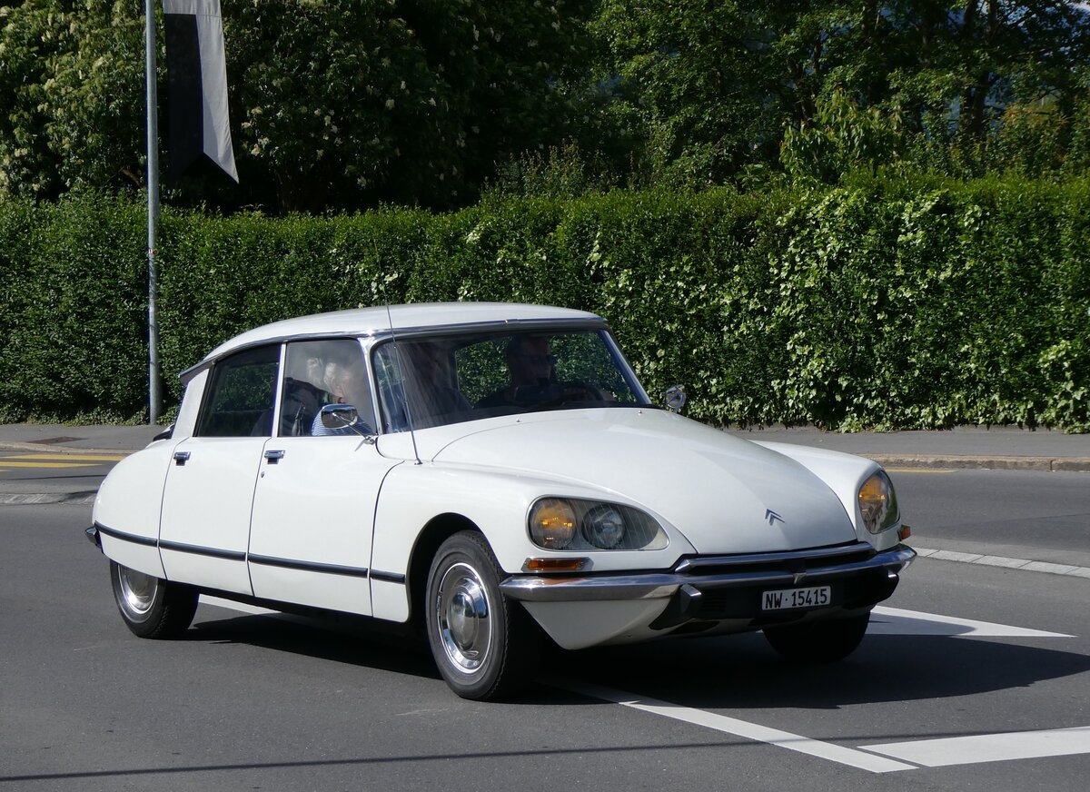 (262'580) - Citron - NW 15'415 - am 18. Mai 2024 in Sarnen, OiO