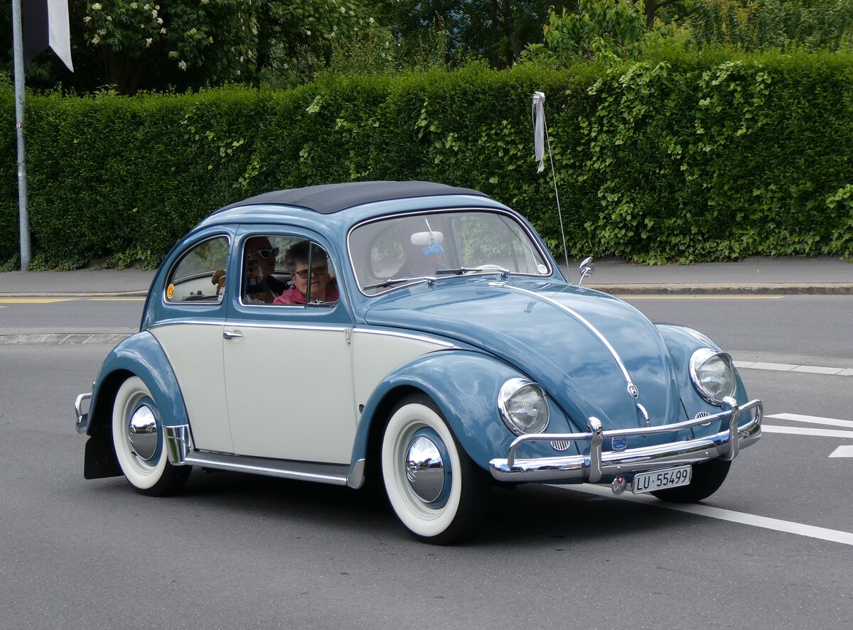 (262'673) - VW-Kfer - LU 55'499 - am 18. Mai 2024 in Sarnen, OiO
