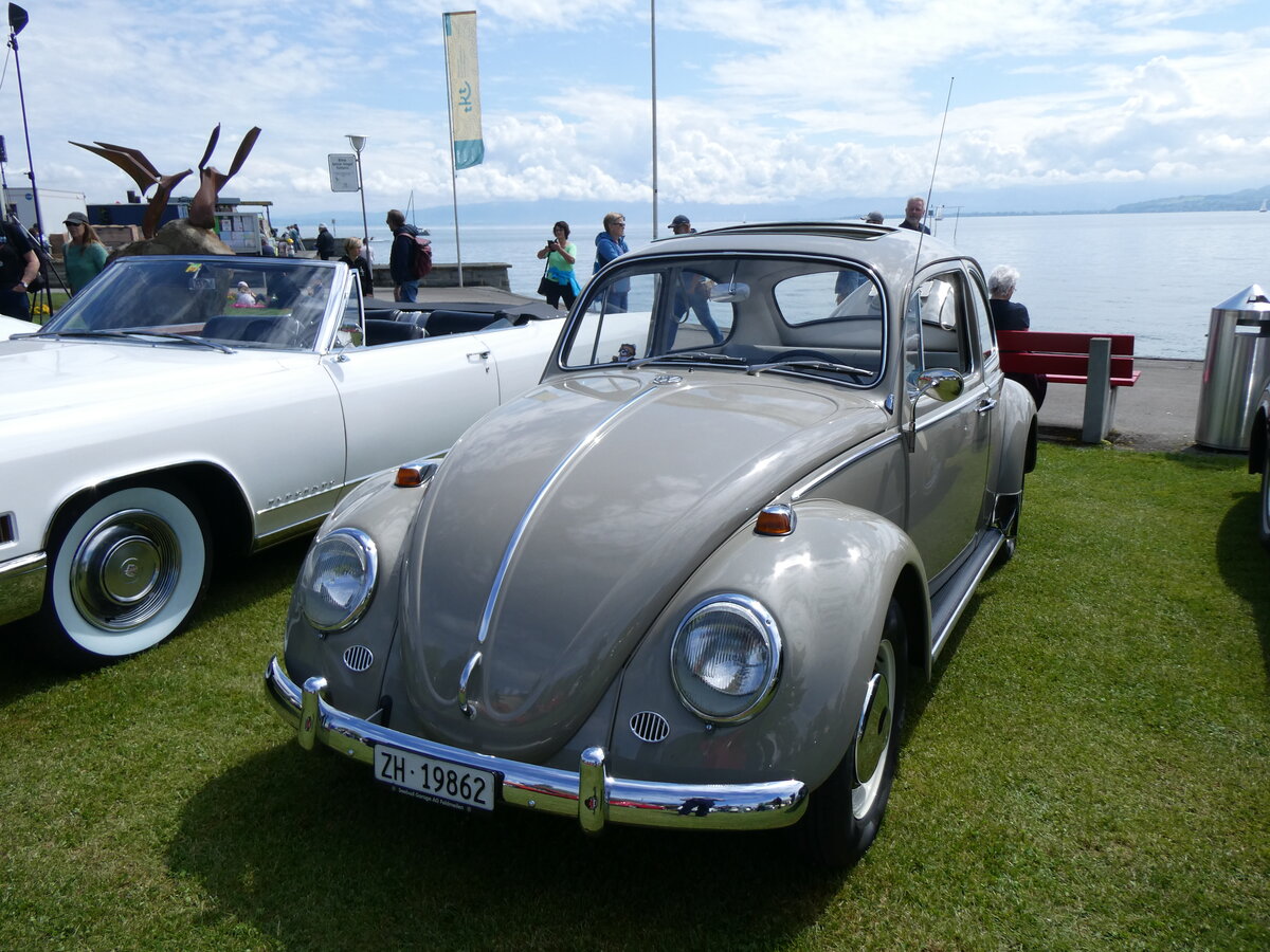 (263'002) - VW-Kfer - ZH 19'862 - am 25. Mai 2024 in Arbon, Arbon Classics
