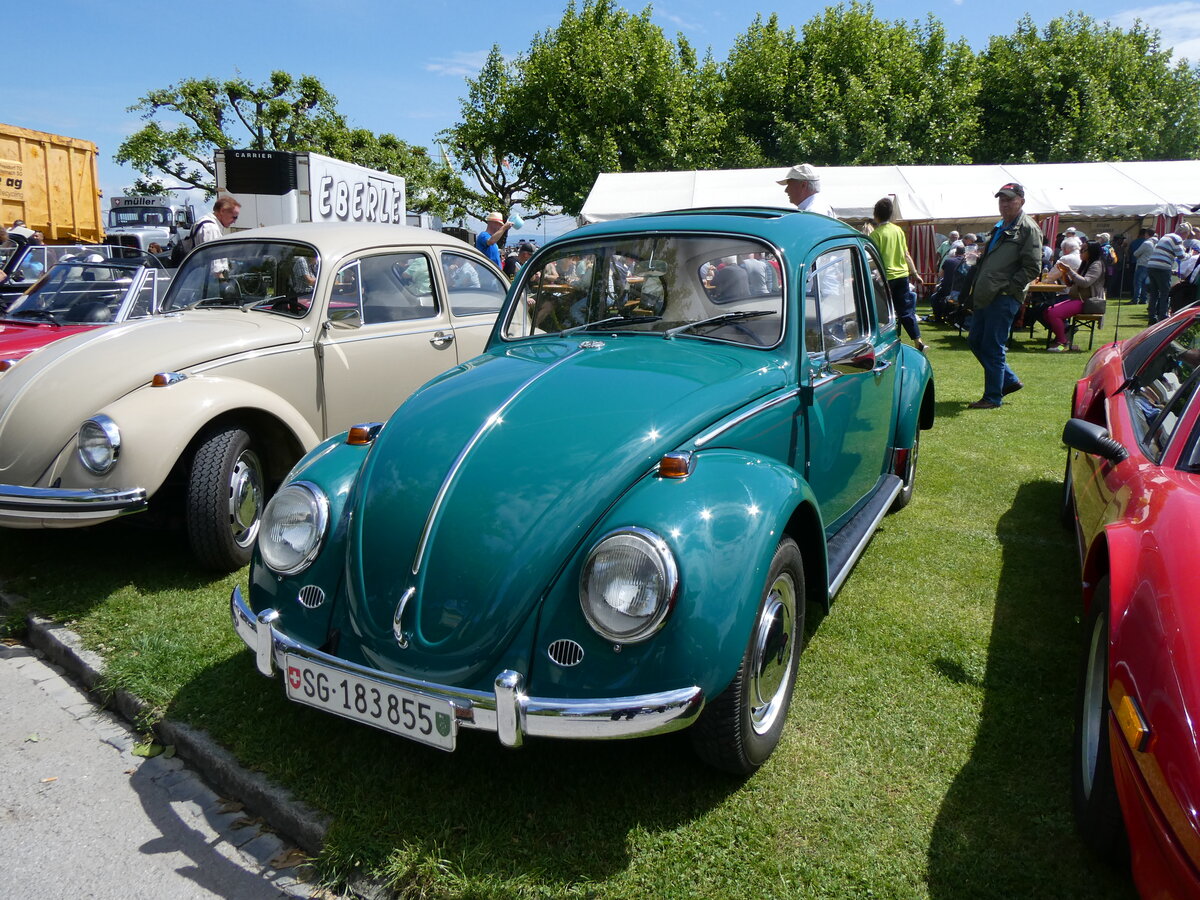 (263'084) - VW-Kfer - SG 183'855 - am 25. Mai 2024 in Arbon, Arbon Classics
