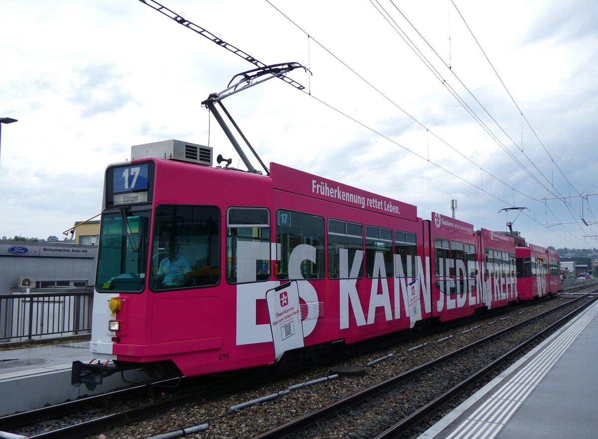 (263'477) - BLT-Tram - Nr. 215 - am 8. Juni 2024 bei der Haltestelle Oberwil, Hslimatt