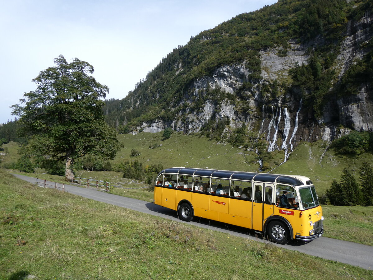 (267'492) - Gast, Reutigen - Nr. 1/BE 24'079 - FBW/FHS (ex Lambach, Gommiswald; ex Hotz, Rickenbach bei Wil/TG; ex P 24'079; ex P 21'579) am 22. September 2024 in Innertkirchen, Schwarzental