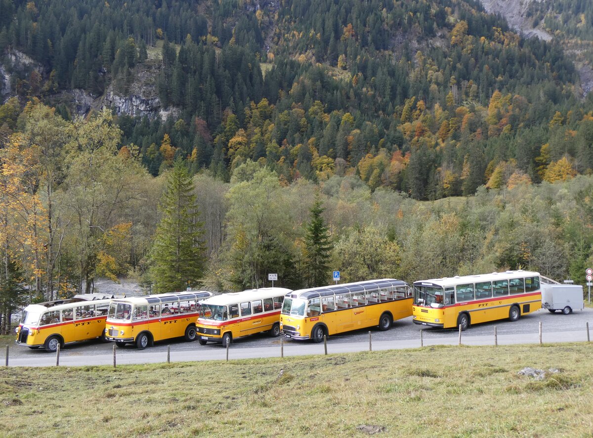 (268'042) - Schmid, Thrishaus - BE 26'206 - Saurer/Tscher (ex P 24'244) am 12. Oktober 2024 in Kiental, Tschingelsee