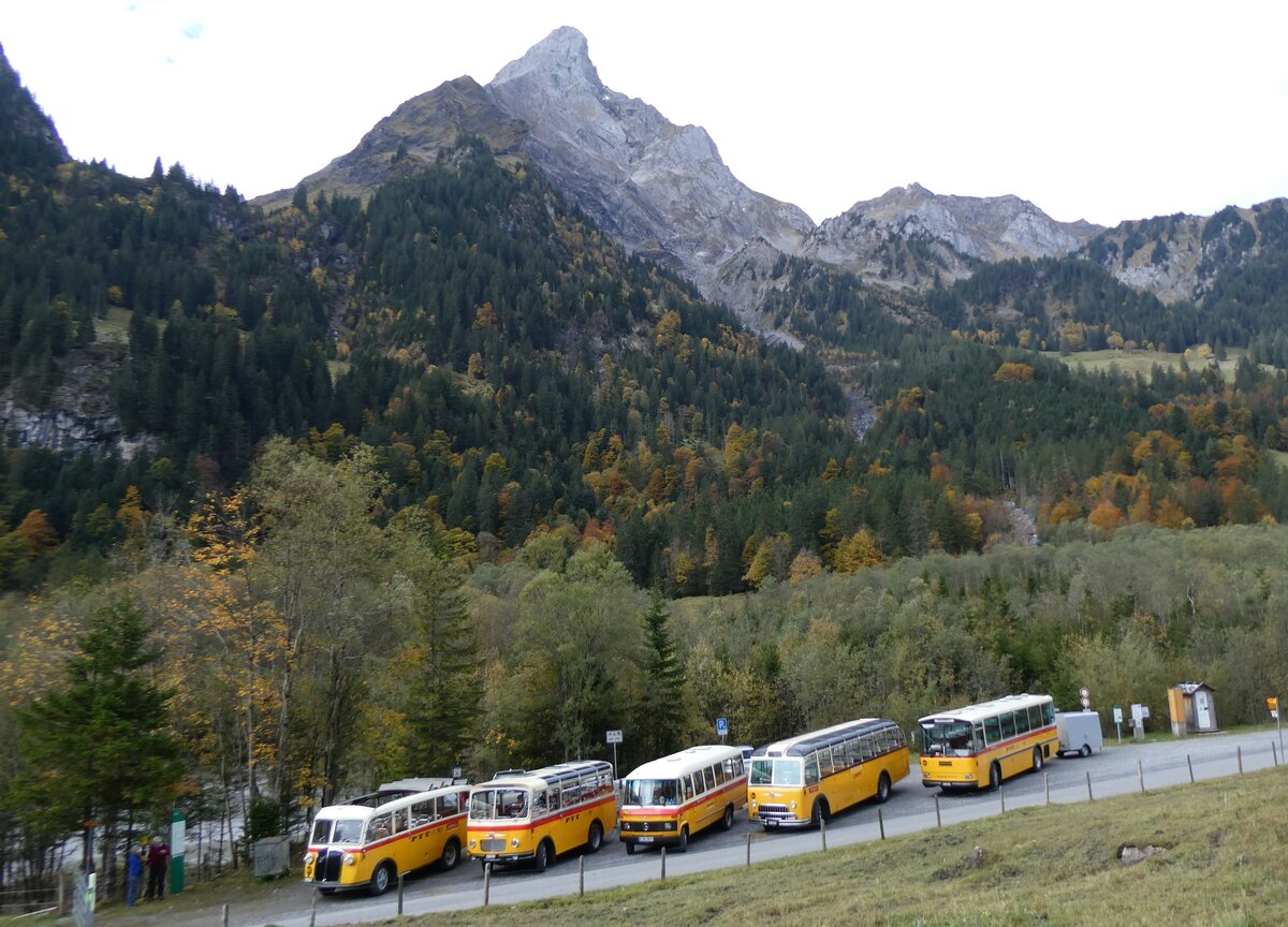 (268'047) - Schmid, Thrishaus - BE 26'206 - Saurer/Tscher (ex P 24'244) am 12. Oktober 2024 in Kiental, Tschingelsee