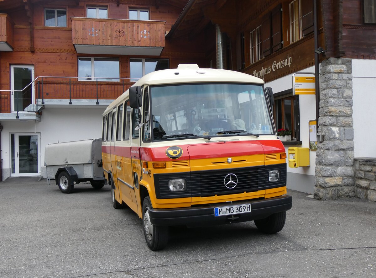 (268'076) - Aus Deutschland: Hahn, Mnchen - Nr. 6/M-MB 309H - Mercedes (ex Mller, CH-Ennetmoos Nr. 6; ex Portenier, CH-Adelboden Nr. 6; ex Geiger, CH-Adelboden Nr. 6) am 12. Oktober 2024 auf der Griesalp