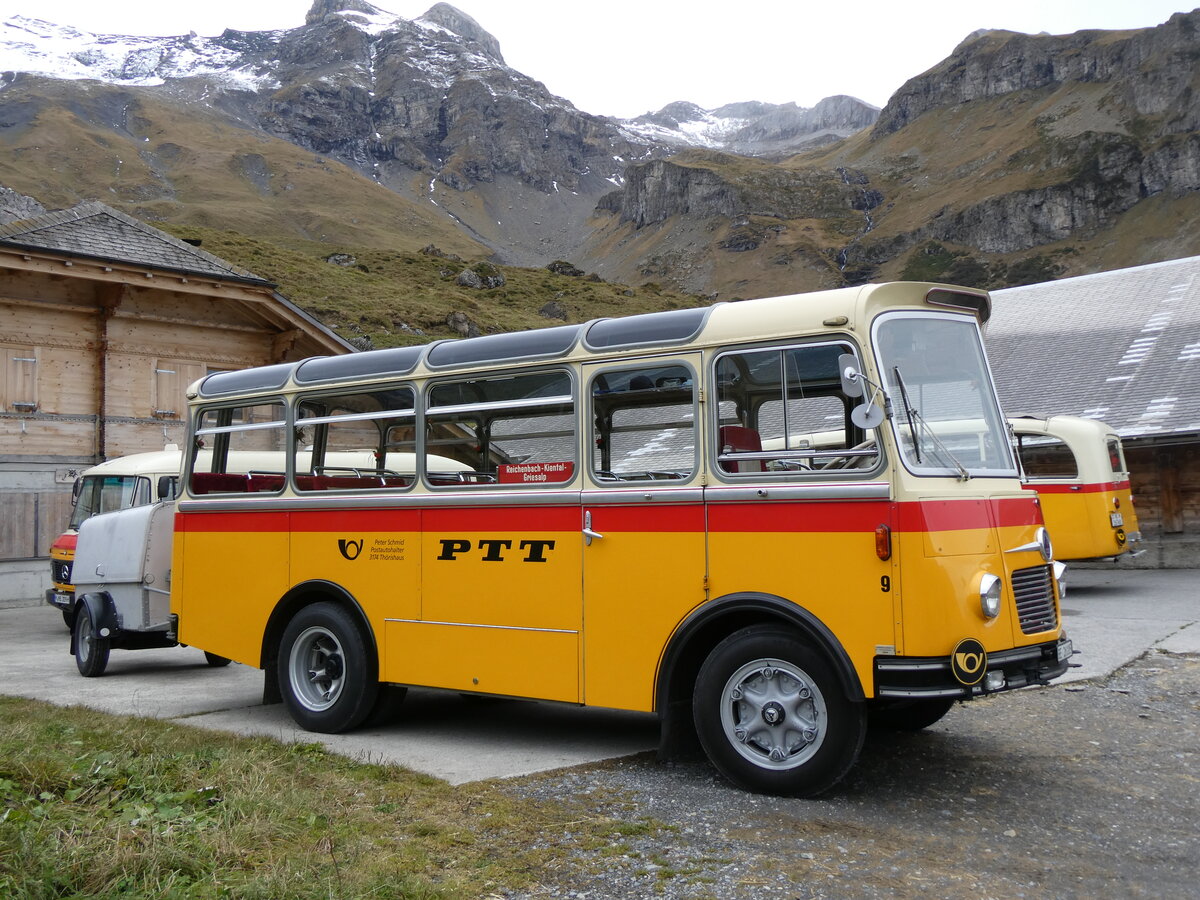 (268'088) - Schmid, Thrishaus - Nr. 9/BE 26'105 - Saurer/R&J (ex Geiger, Adelboden Nr. 9) am 12. Oktober 2024 auf dem Bundlger